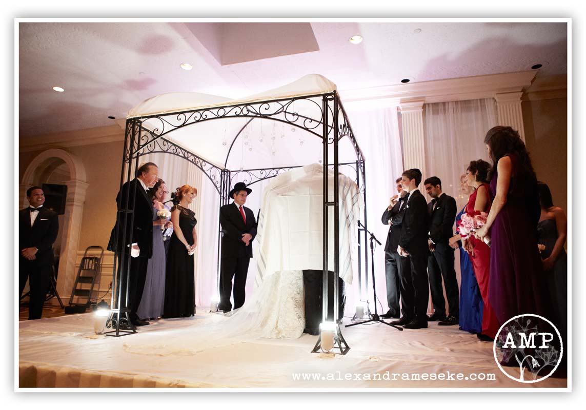 Arielle & Leor Married: Tarrytown, NY Wedding: NYC Wedding Photographer - Alexandra ...